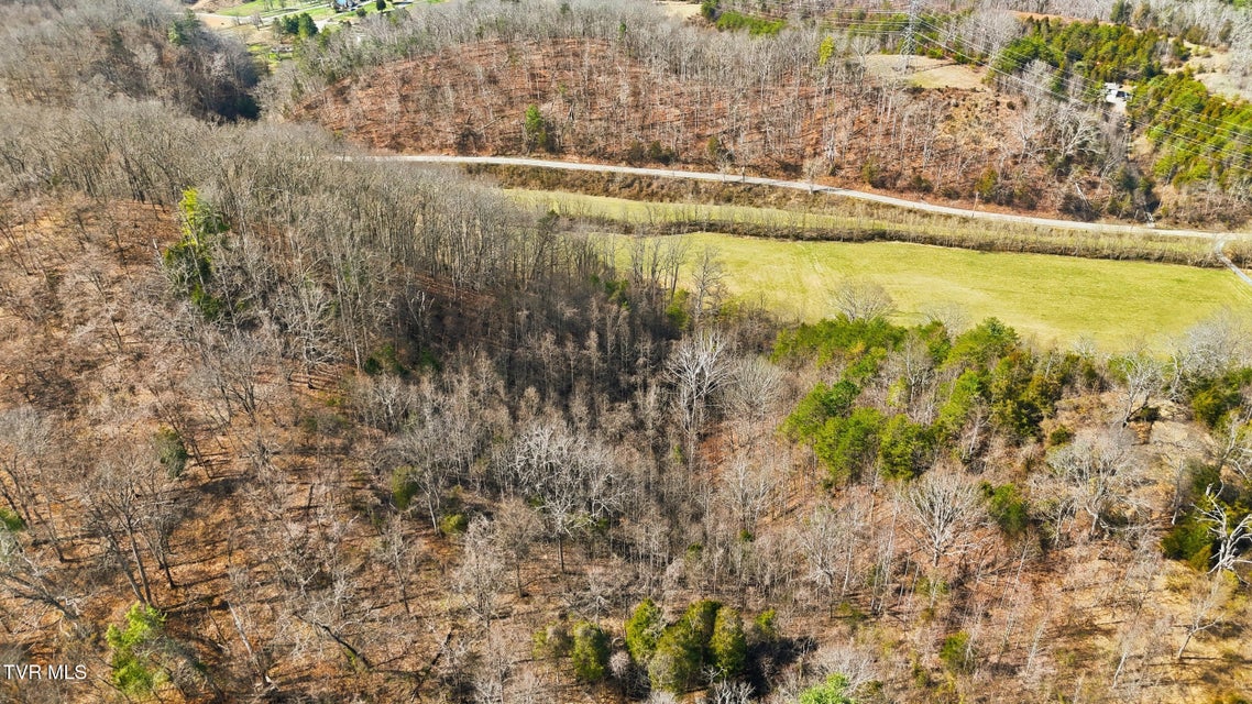 Photo #7: 00 Lone Star Road