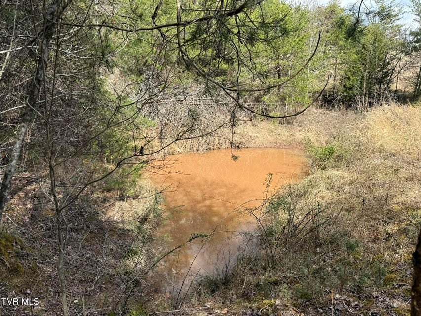 Photo #5: 0 Dyer Hollow Road