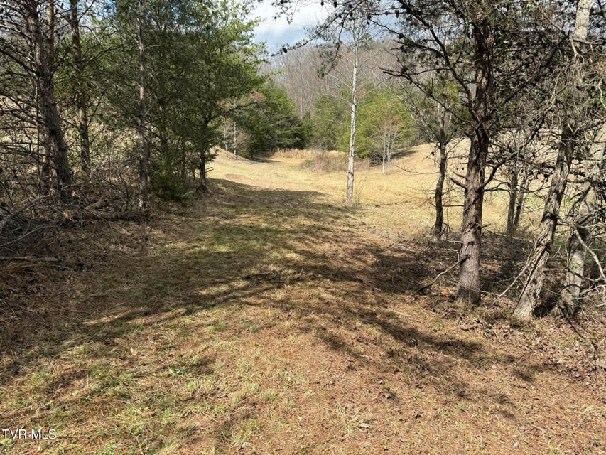 Photo #4: 0 Dyer Hollow Road