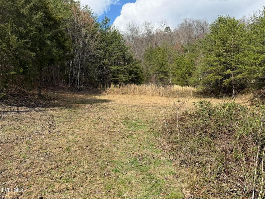 Photo #6: 0 Dyer Hollow Road