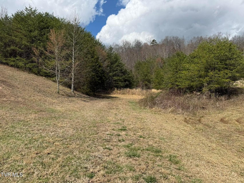 Photo #7: 0 Dyer Hollow Road