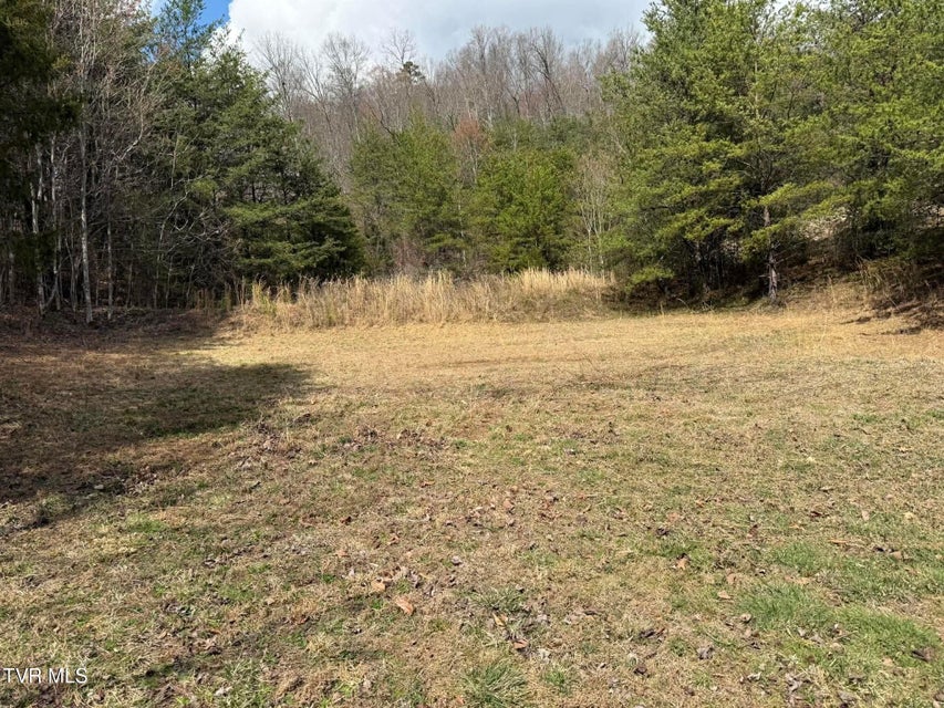 Photo #8: 0 Dyer Hollow Road