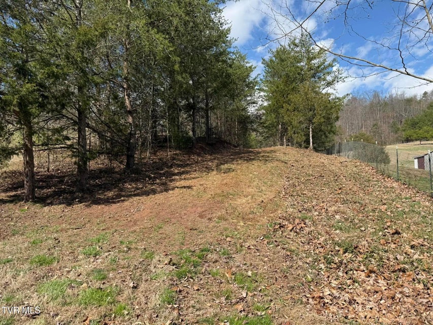 Photo #9: 0 Dyer Hollow Road