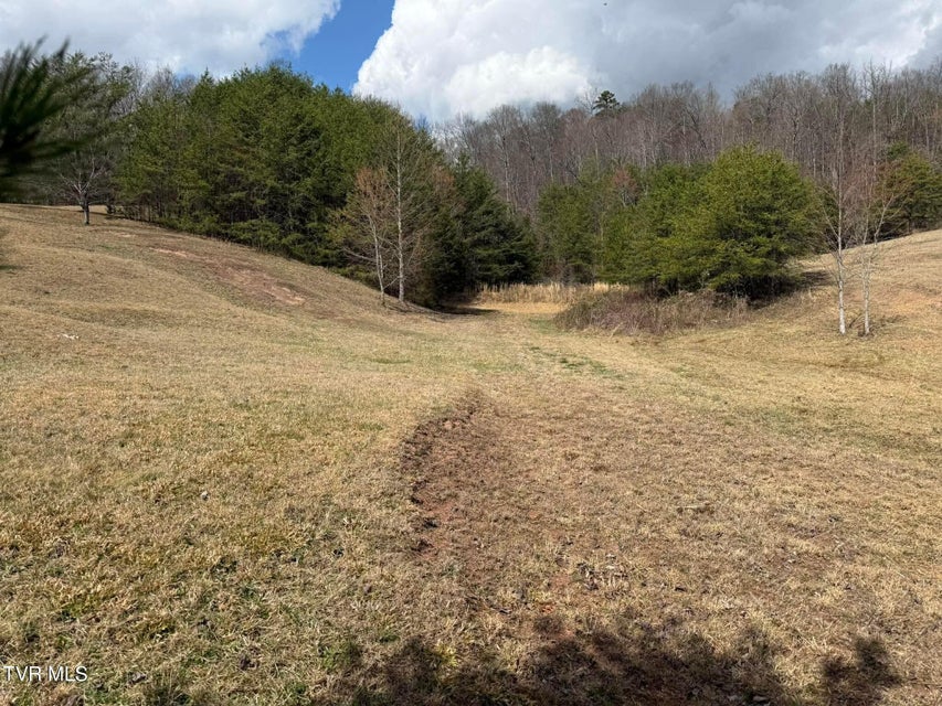 Photo #10: 0 Dyer Hollow Road