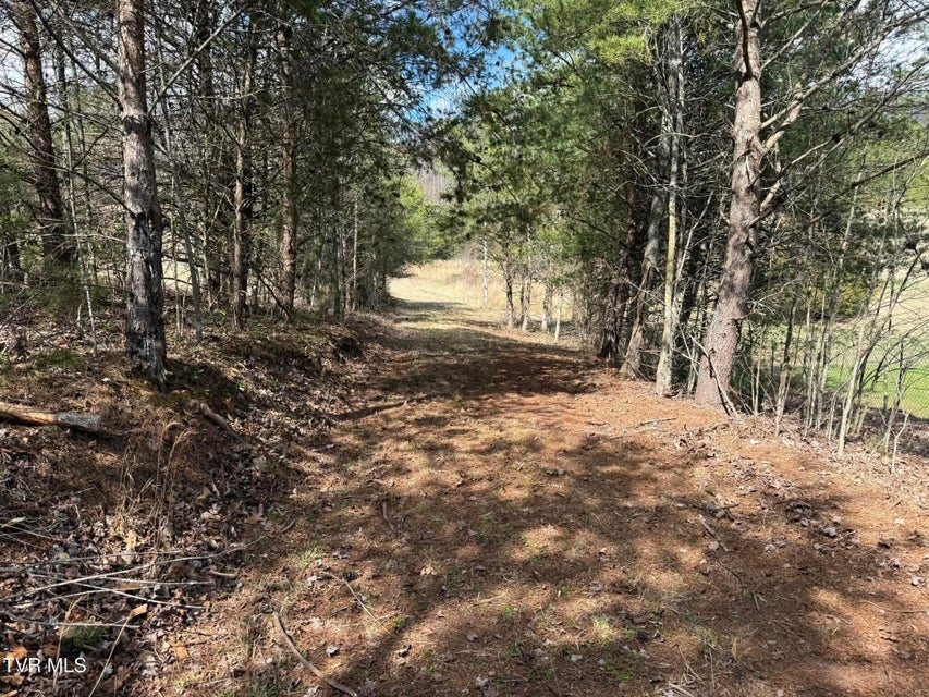 Photo #11: 0 Dyer Hollow Road