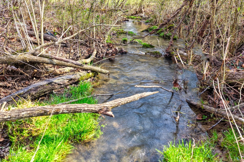 Photo #42: 2123 Highway 70n 