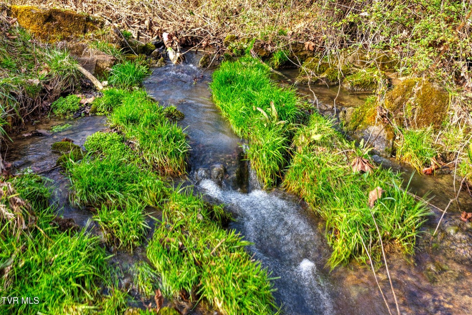 Photo #43: 2123 Highway 70n 