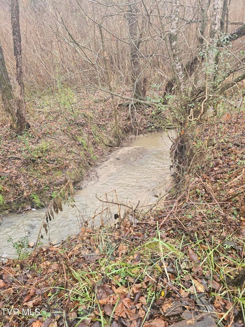 Photo #22: 2949 Highway 321 