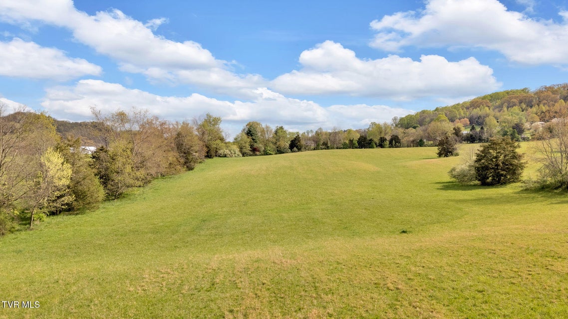 Photo #21: Lot 3 Gray Station Sulphur Springs Road