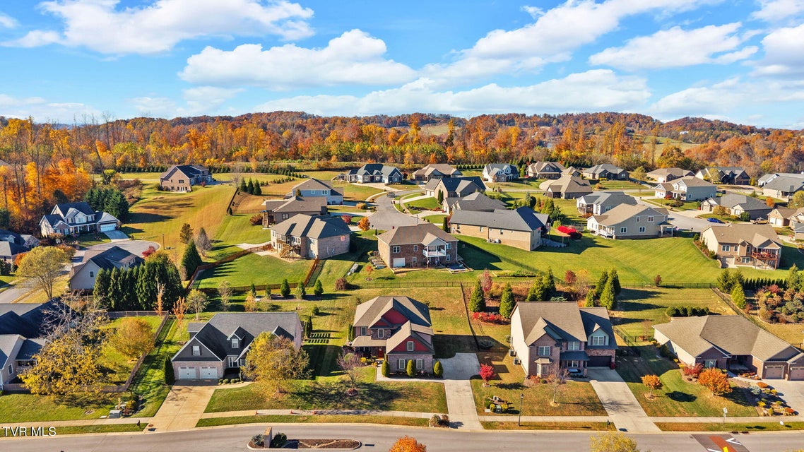 Photo #41: 217 Laurel Canyon