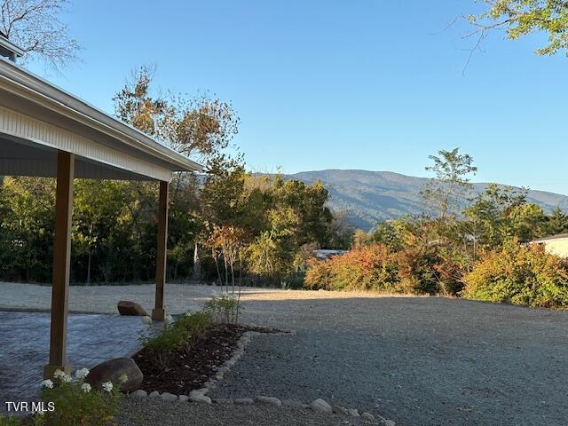 Photo #11: 2496 Siam Road