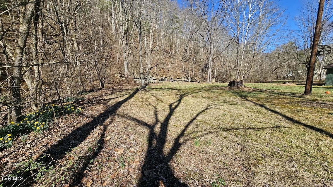 Photo #13: 2053 Alto Street