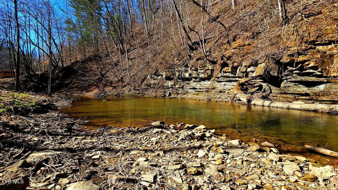 Photo #15: 2053 Alto Street