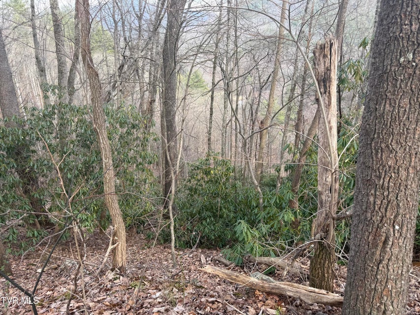 Photo #11: Tbd Banjo Ridge Lot 8,37,38 Road