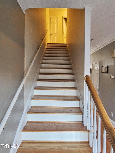 Photo #24: 700 A The Terrace Street