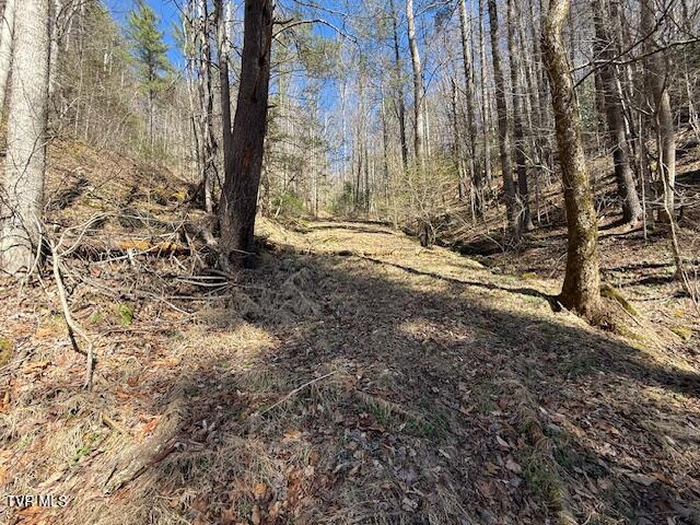 Photo #3: Tbd Spivey Mountain Road