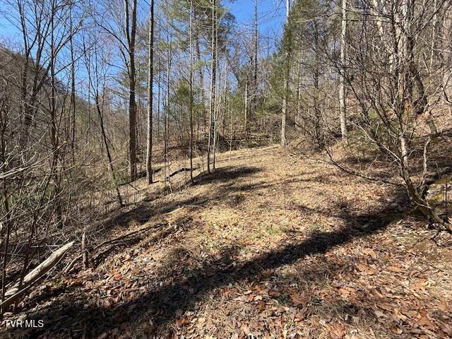 Photo #5: Tbd Spivey Mountain Road