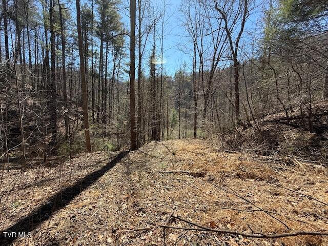 Photo #6: Tbd Spivey Mountain Road