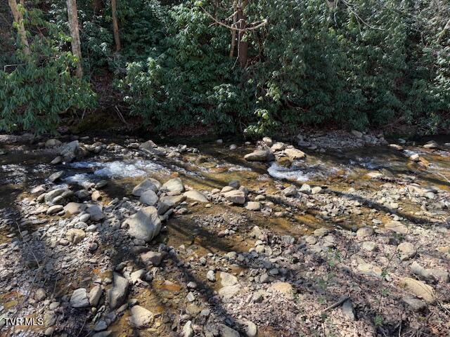 Photo #3: Tbd Willis Cove Road Road