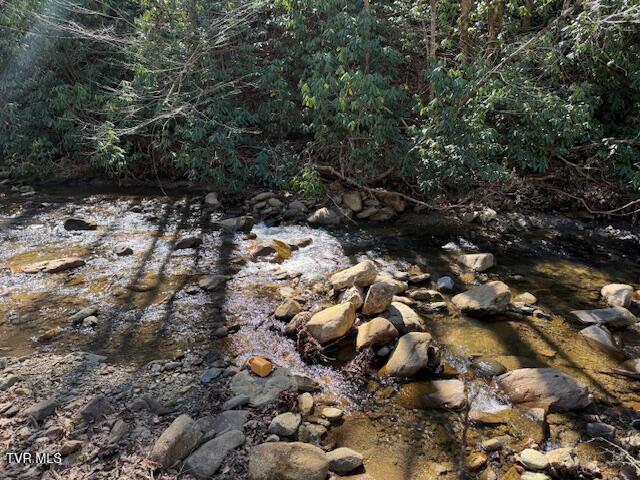 Photo #11: Tbd Willis Cove Road Road