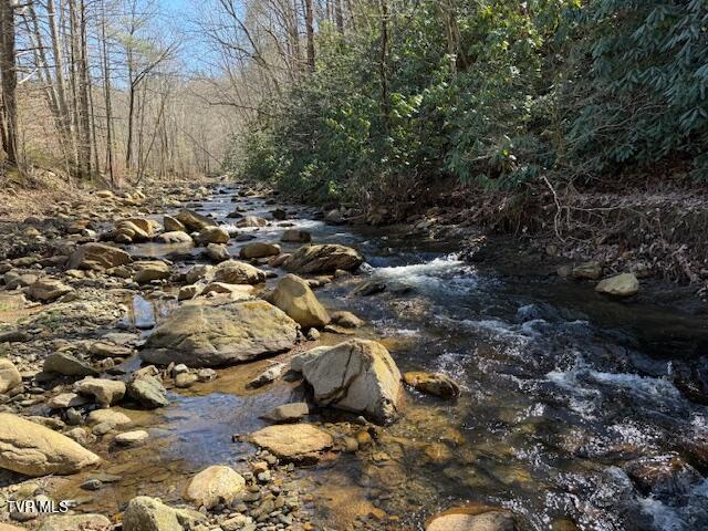 Photo #13: Tbd Willis Cove Road Road