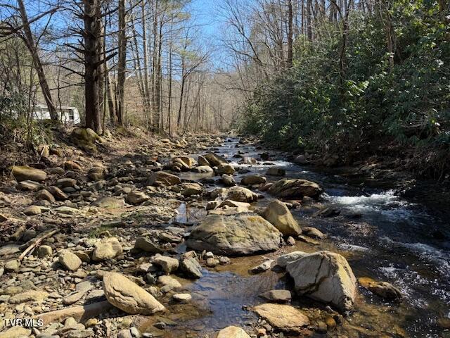 Photo #5: Tbd Willis Cove Road Road