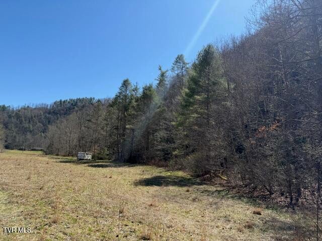 Photo #12: Tbd Willis Cove Road Road