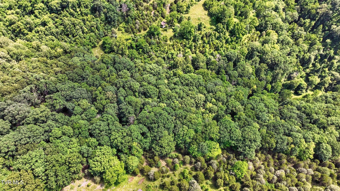 Photo #4: Tbd Rushing Road 