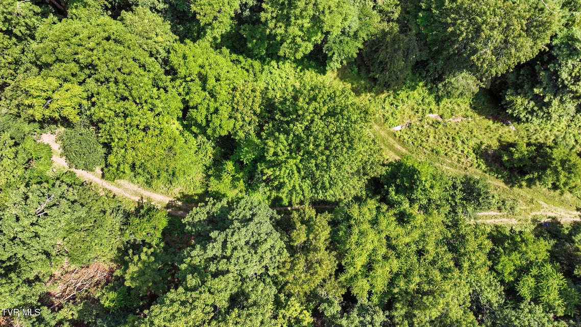 Photo #5: Tbd Rushing Road 