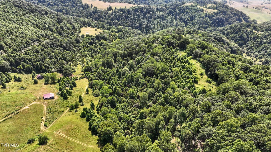 Photo #7: Tbd Rushing Road 