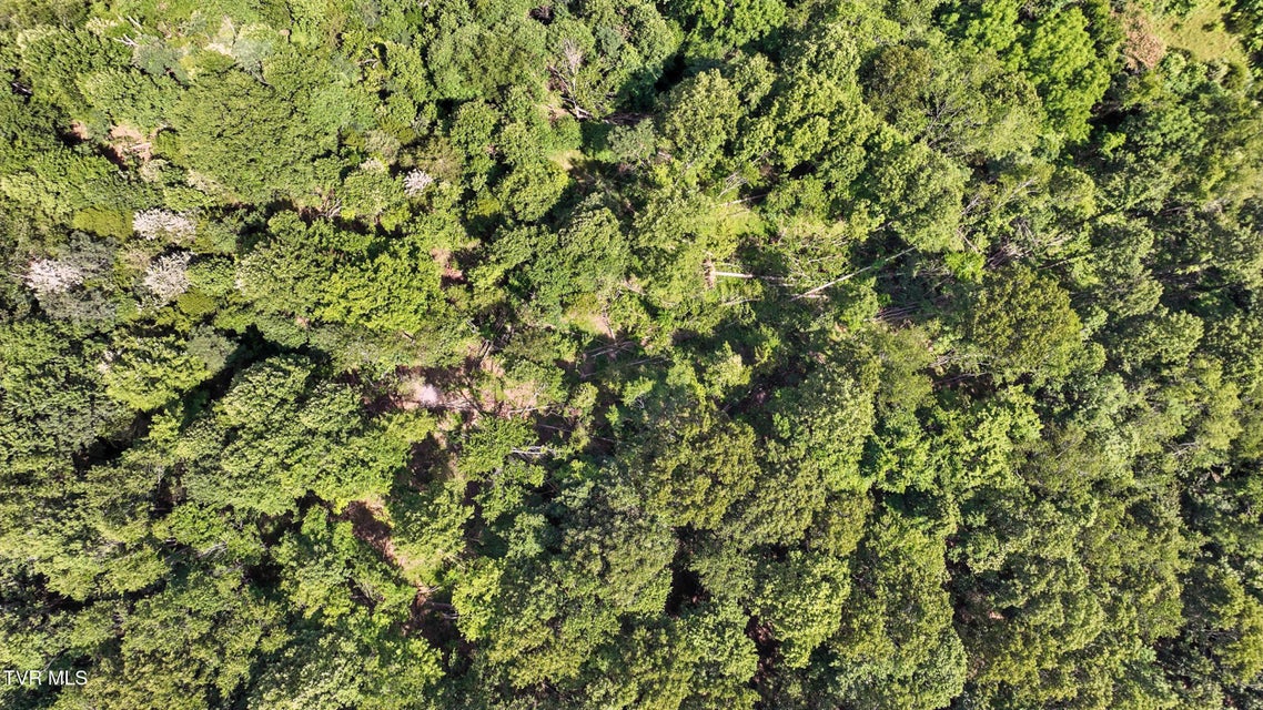 Photo #9: Tbd Rushing Road 