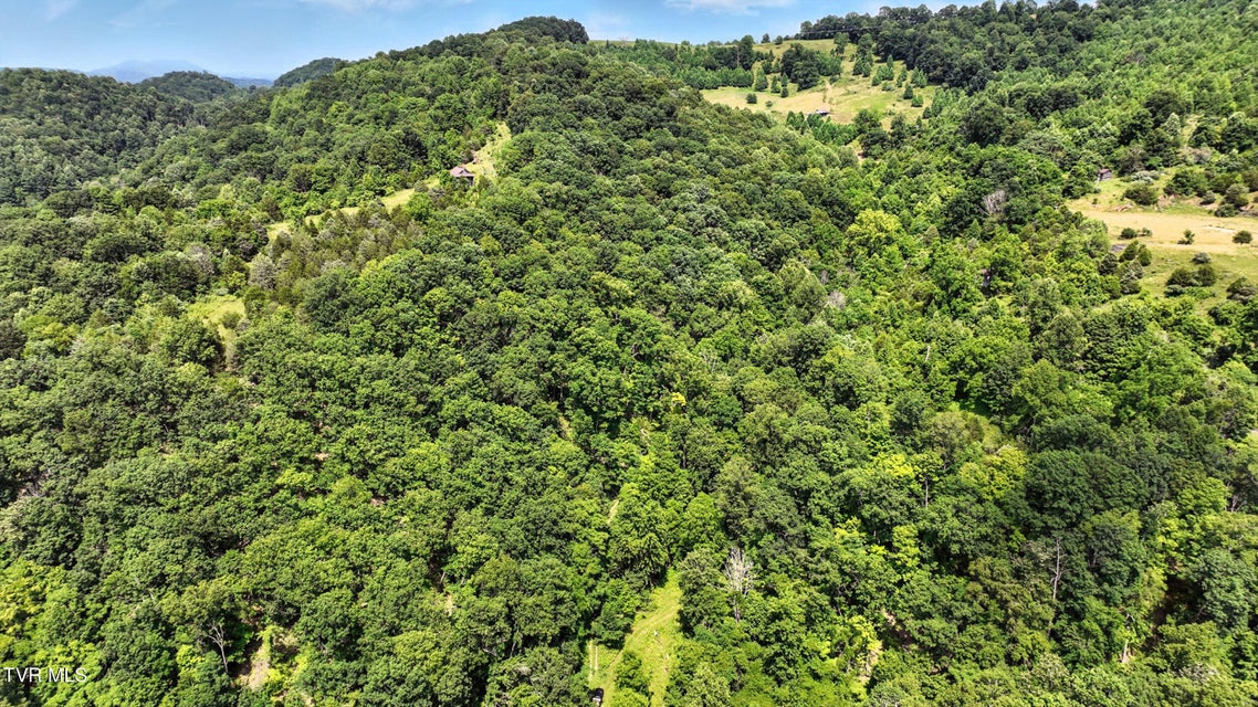 Photo #11: Tbd Rushing Road 