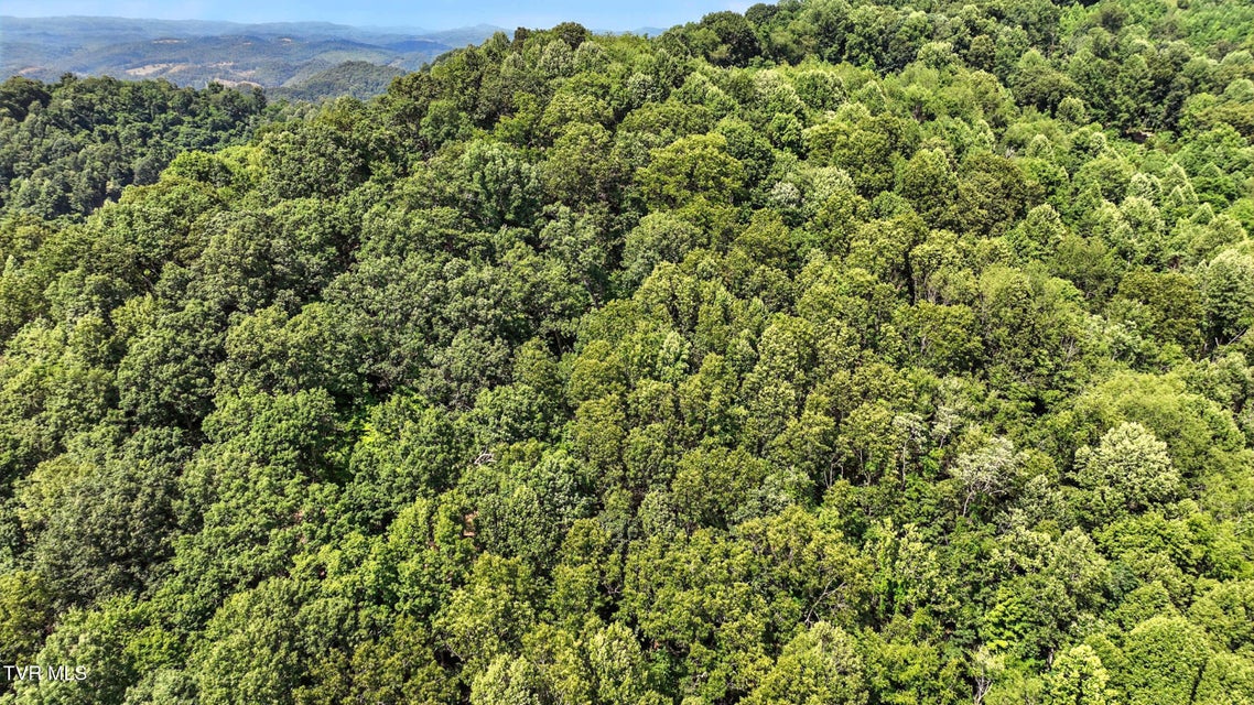 Photo #12: Tbd Rushing Road 