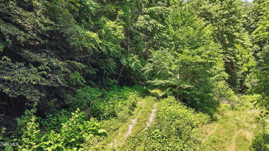 Photo #13: Tbd Rushing Road 