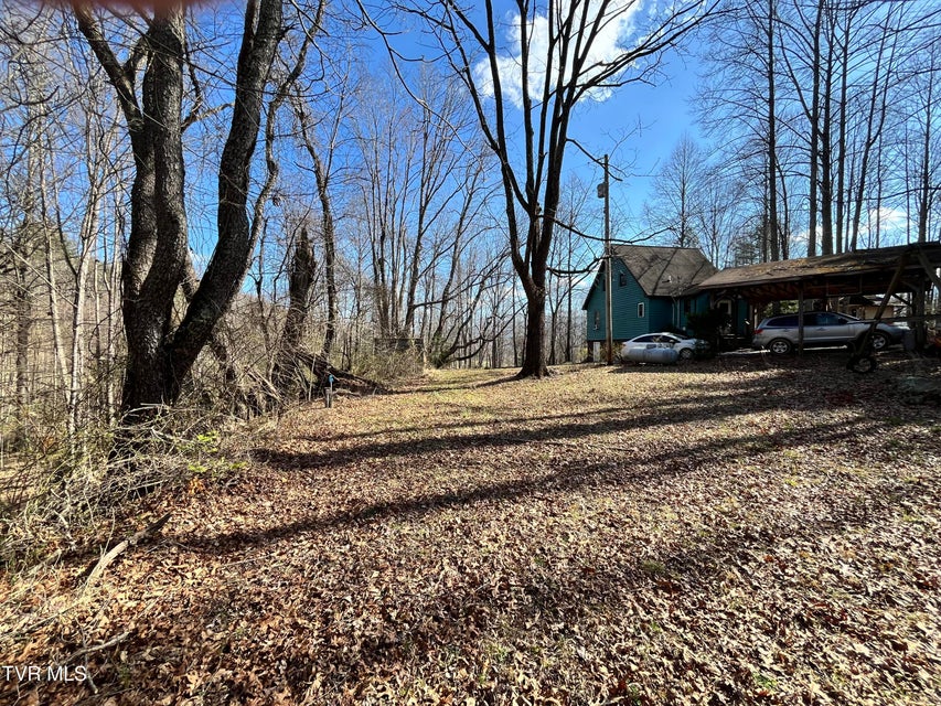 Photo #6: 179 Carl Taylor Drive