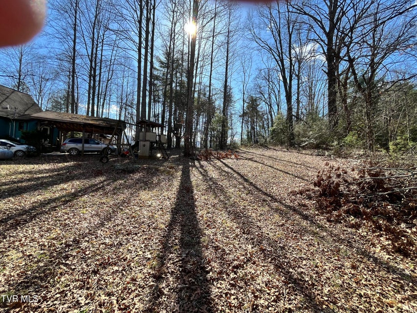 Photo #7: 179 Carl Taylor Drive