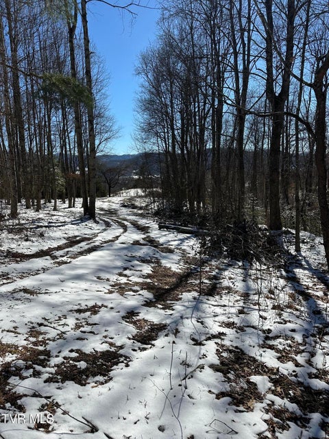 Photo #47: 144 Zeb Grindstaff Road