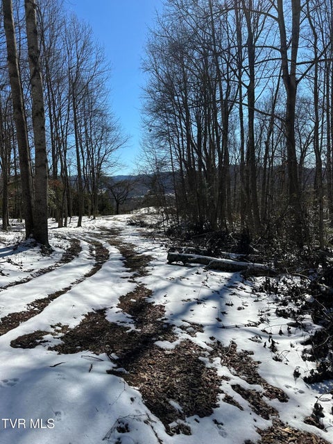 Photo #48: 144 Zeb Grindstaff Road