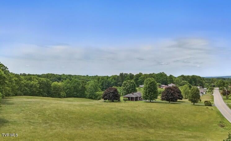 Photo #23: 8491 Doctor Ralph Stanley Highway