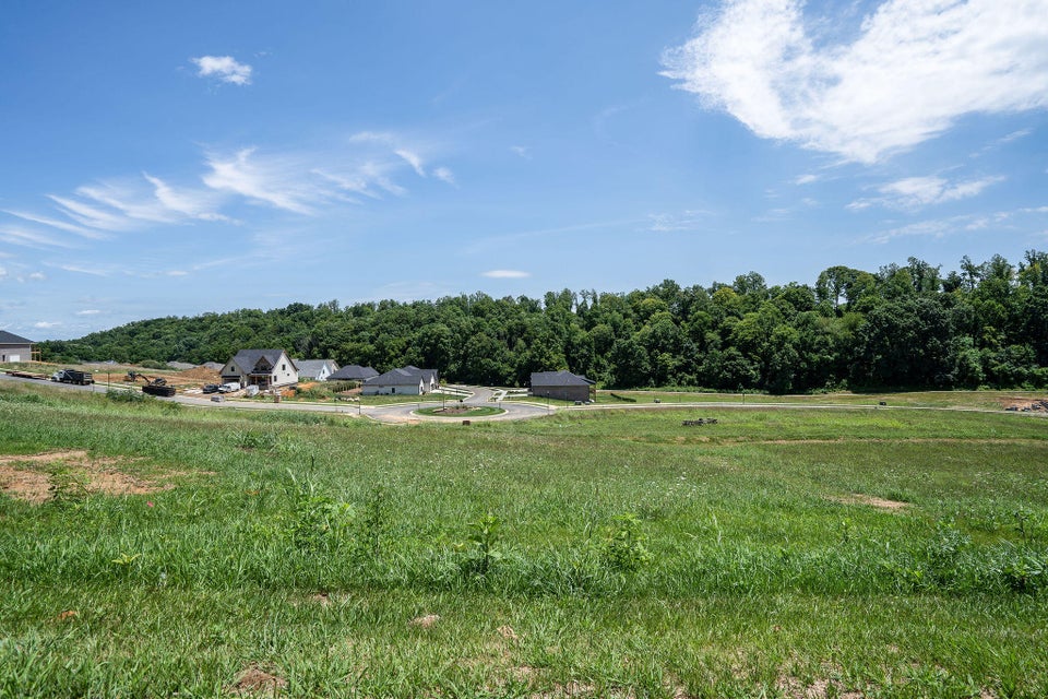 Photo #2: 440 Gransley Court