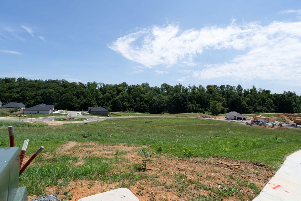 Photo #8: 440 Gransley Court