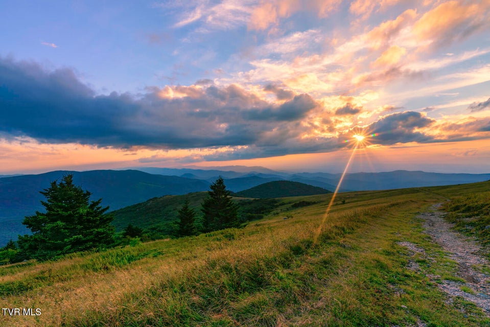 Photo #37: 112 Douglas Drive