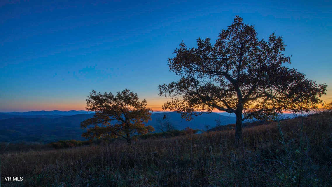 Photo #33: 112 Douglas Drive