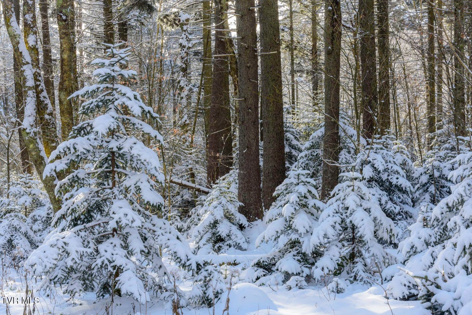 Photo #40: 112 Douglas Drive