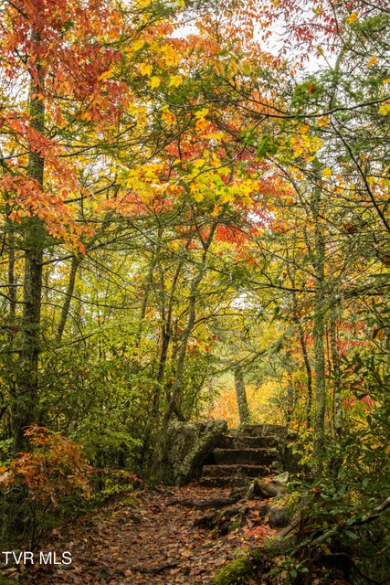 Photo #43: 112 Douglas Drive