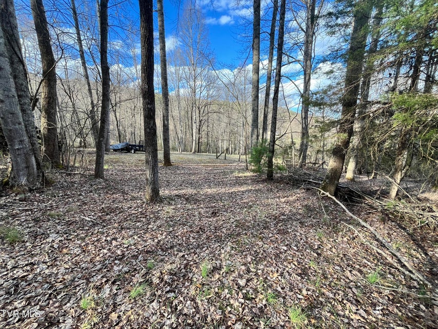 Photo #22: 179 Carl Taylor Drive