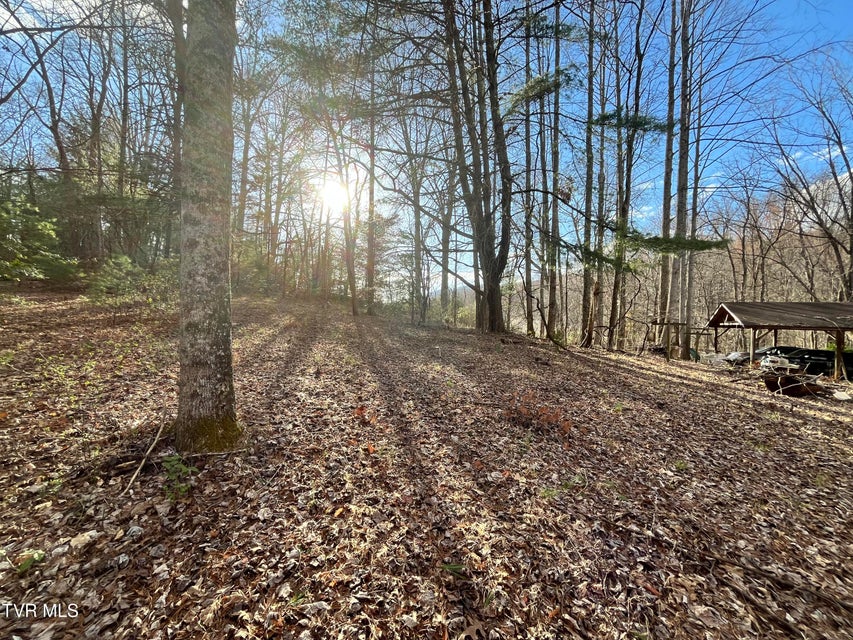 Photo #23: 179 Carl Taylor Drive