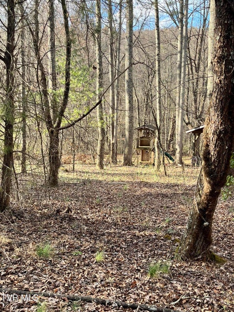 Photo #24: 179 Carl Taylor Drive