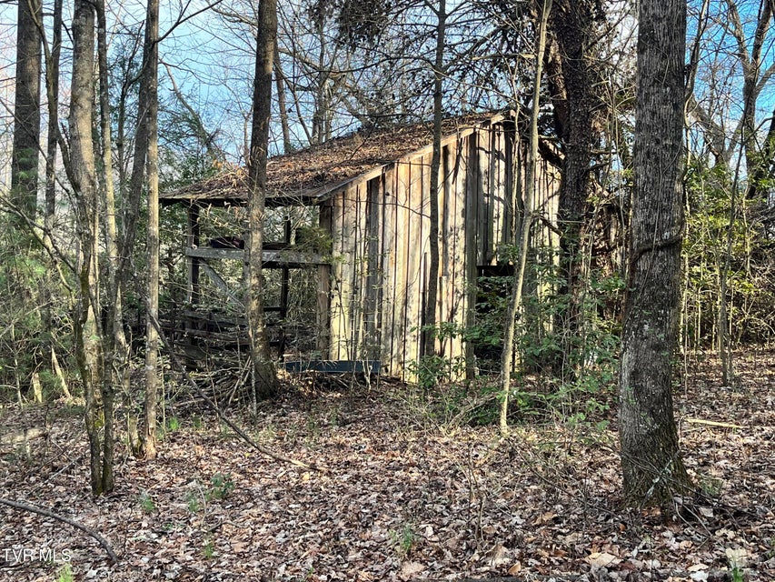 Photo #26: 179 Carl Taylor Drive