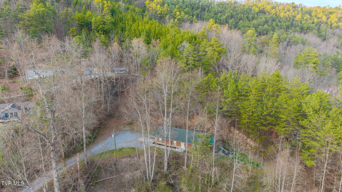 Photo #33: 1430 Am King Way